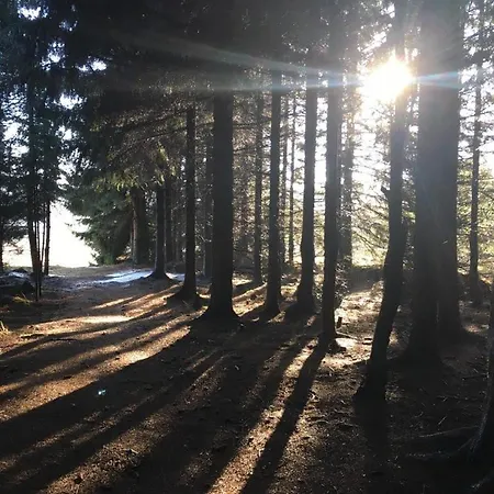 Lejlighed Forest *