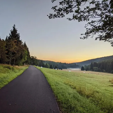 Forest * Kovářská