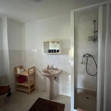 Forest * Kovářská