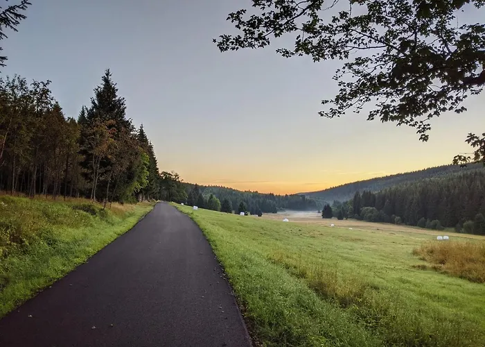 Forest * Kovářská